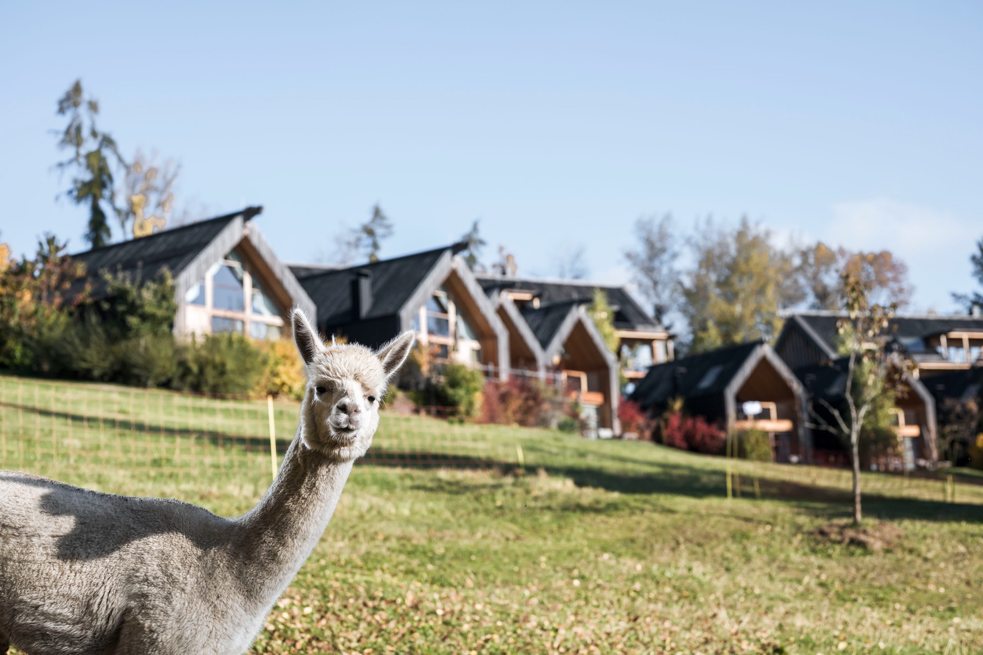 ADLER Lodge RITTEN Bilder | Bild 11