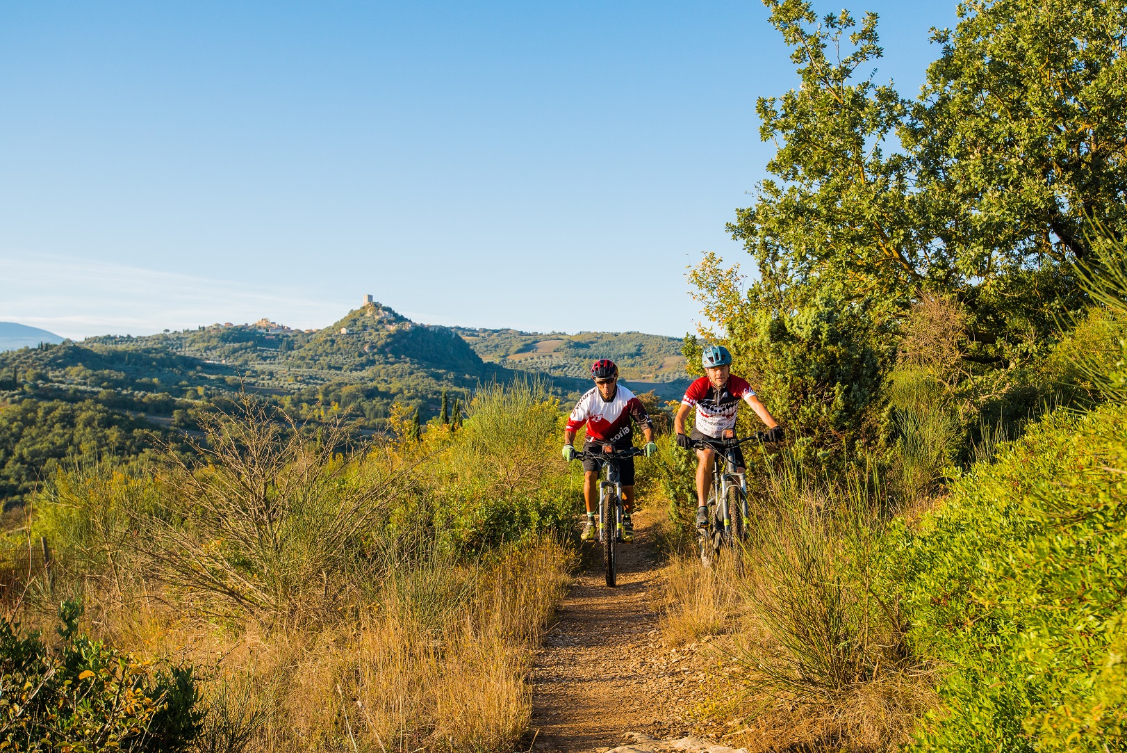Bild zum Wellness-Angebot Biken in den Hügeln der Toskana