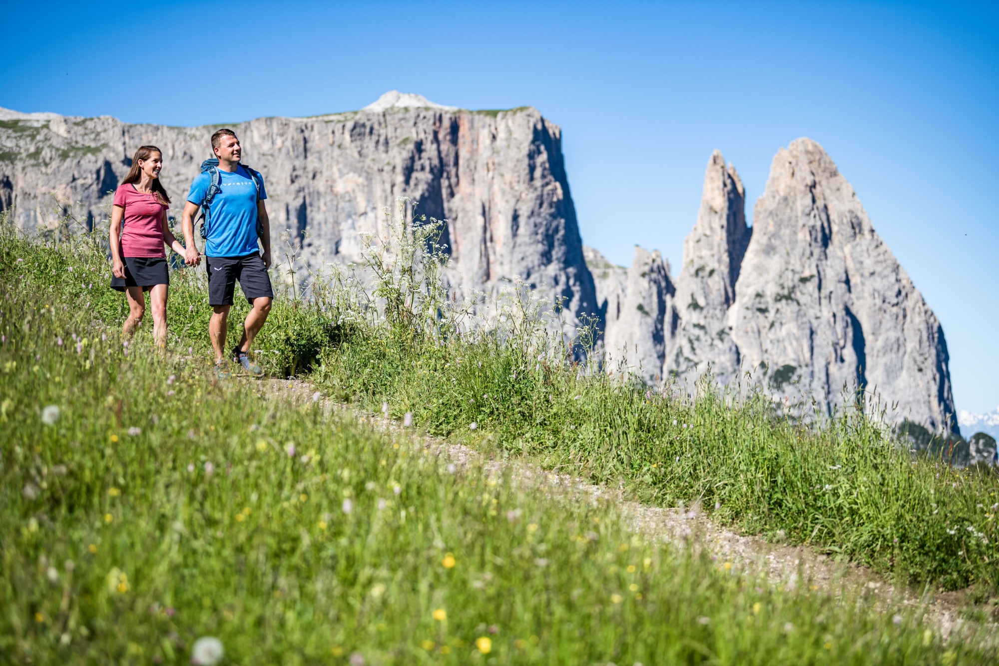 Bild zum Wellness-Angebot Alpenflora-Schlerngefühle
