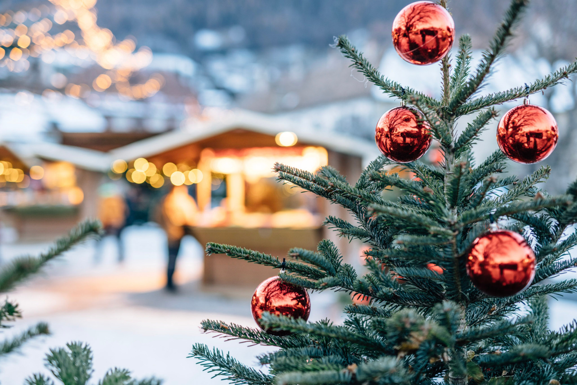 ALPIANA – green luxury Dolce Vita Hotel | Bild 97