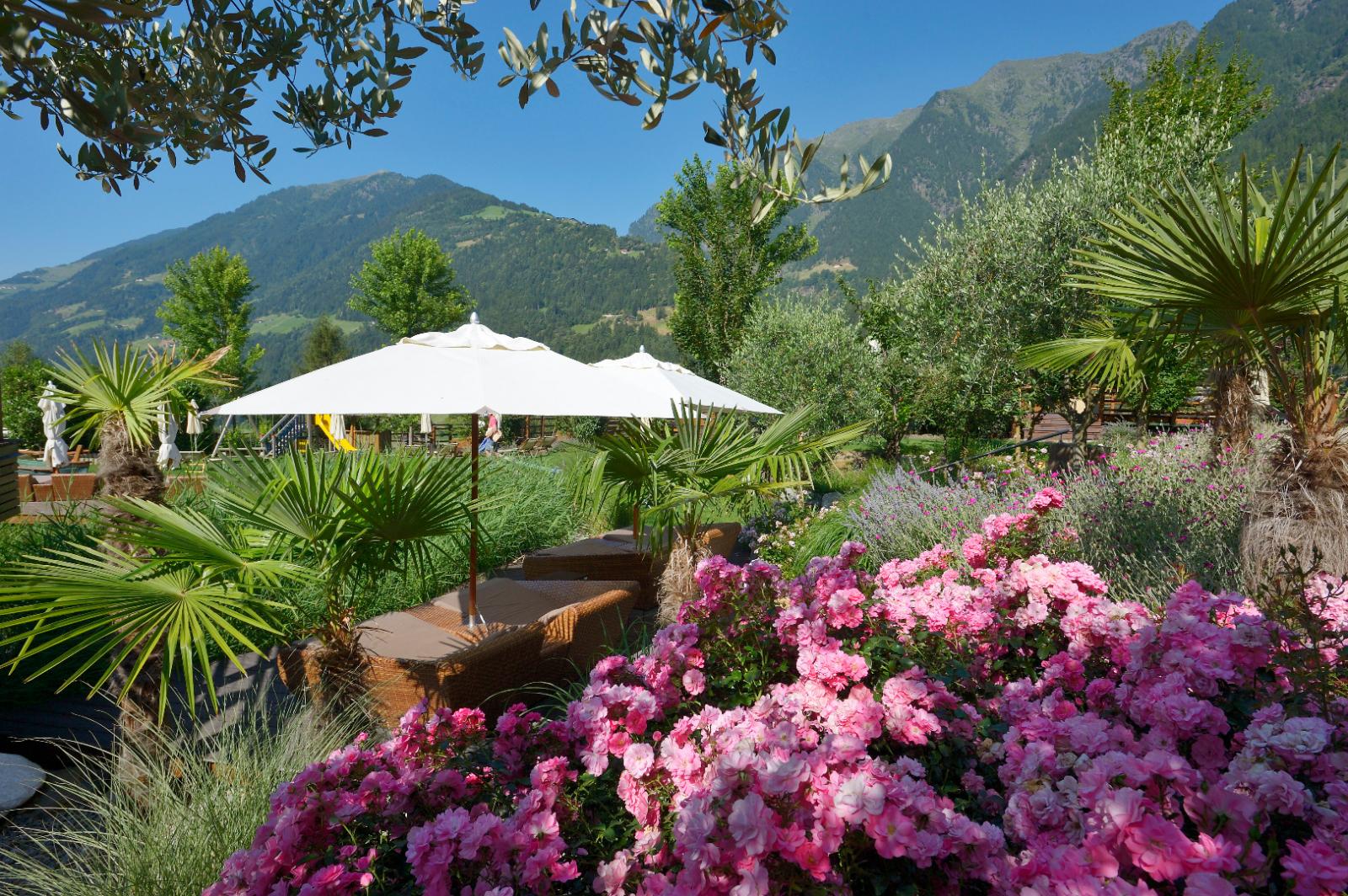 Alfalfa: Foto vom Wellnesshotel Golf & Spa Resort Andreus***** | Wellness Südtirol