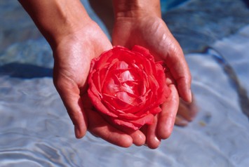 Belvita Südtirol Bilder | Bild 6