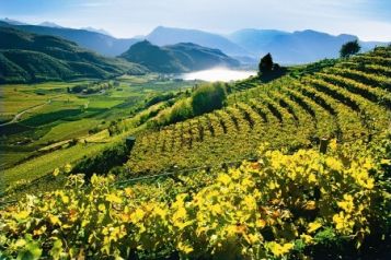 Belvita Südtirol Bilder | Bild 5