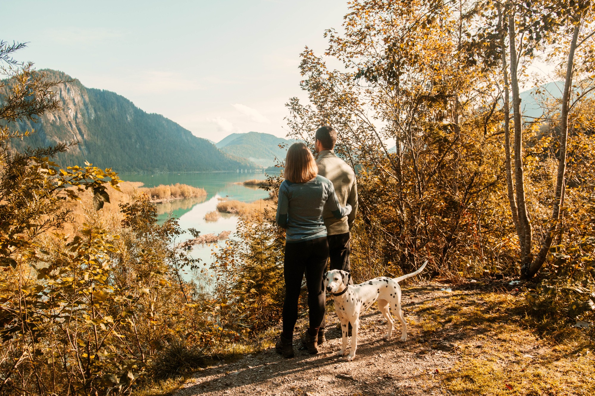 Bild zum Wellness-Angebot Wander-Freude mit Hund