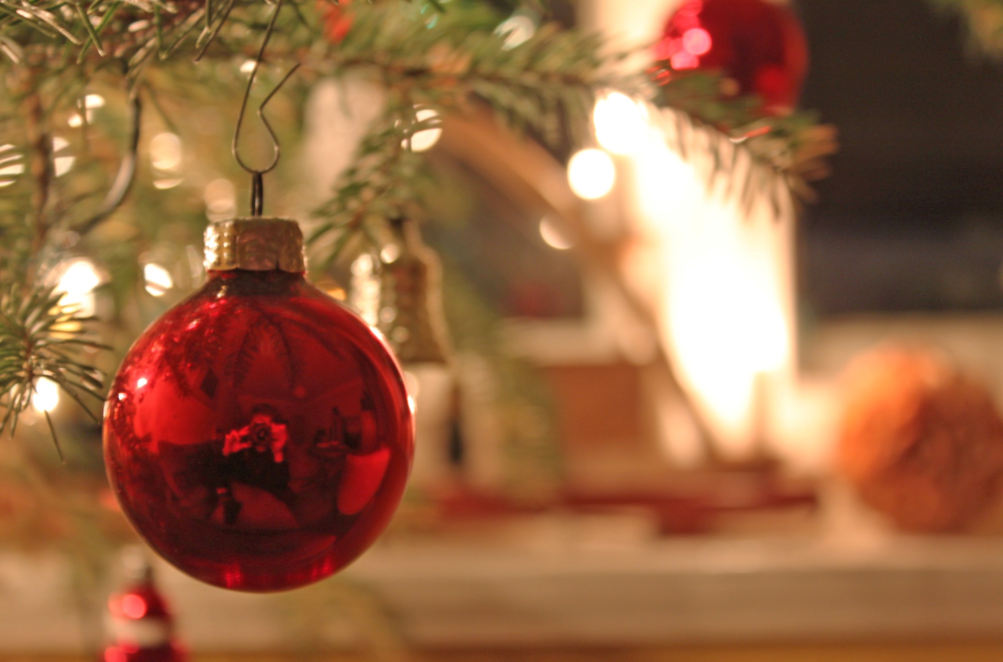 Biohotel EGGENSBERGER**** | Bild 38