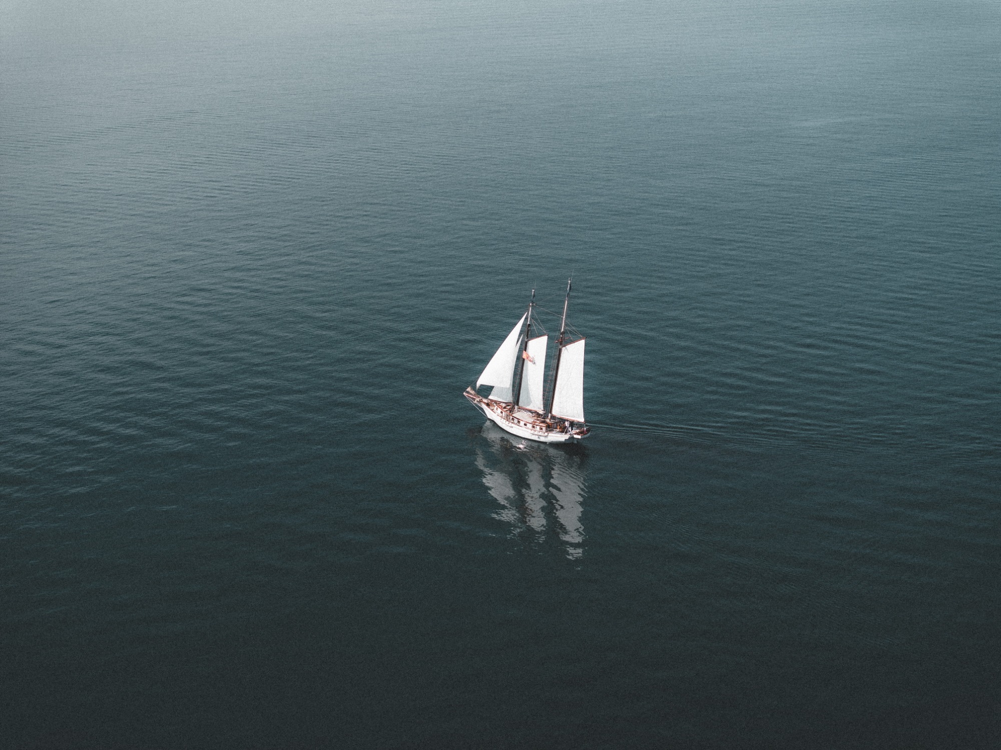 Cape of Senses | Bild 34