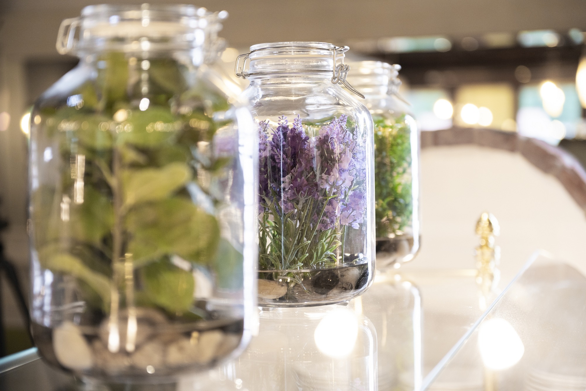 CESTA GRAND Aktivhotel & Spa Bilder | Bild 43