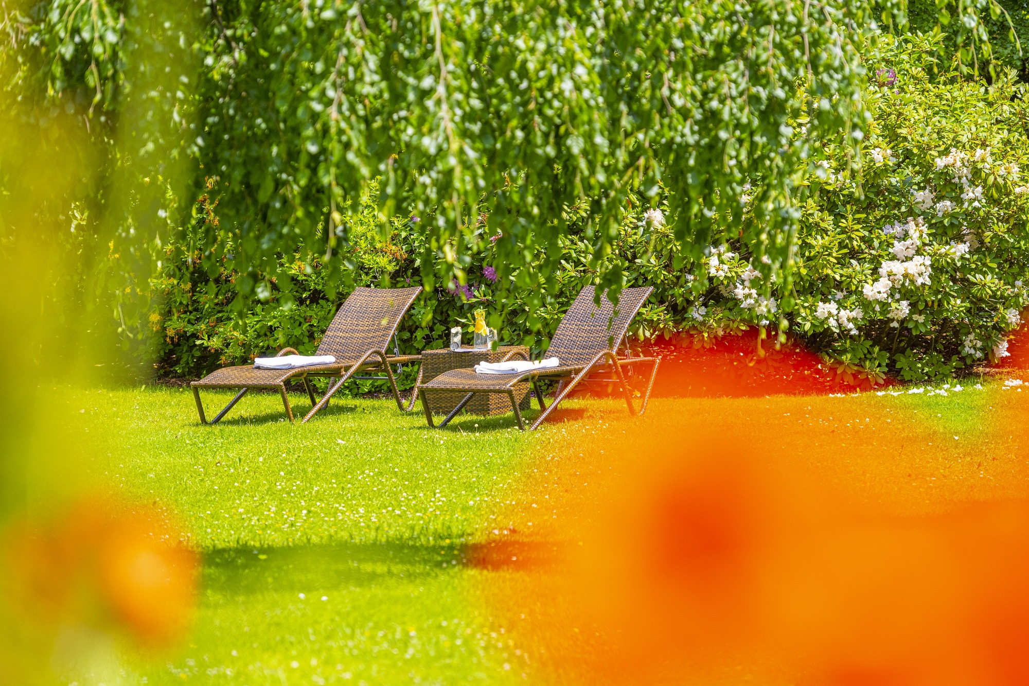 CESTA GRAND Aktivhotel & Spa Bilder | Bild 35