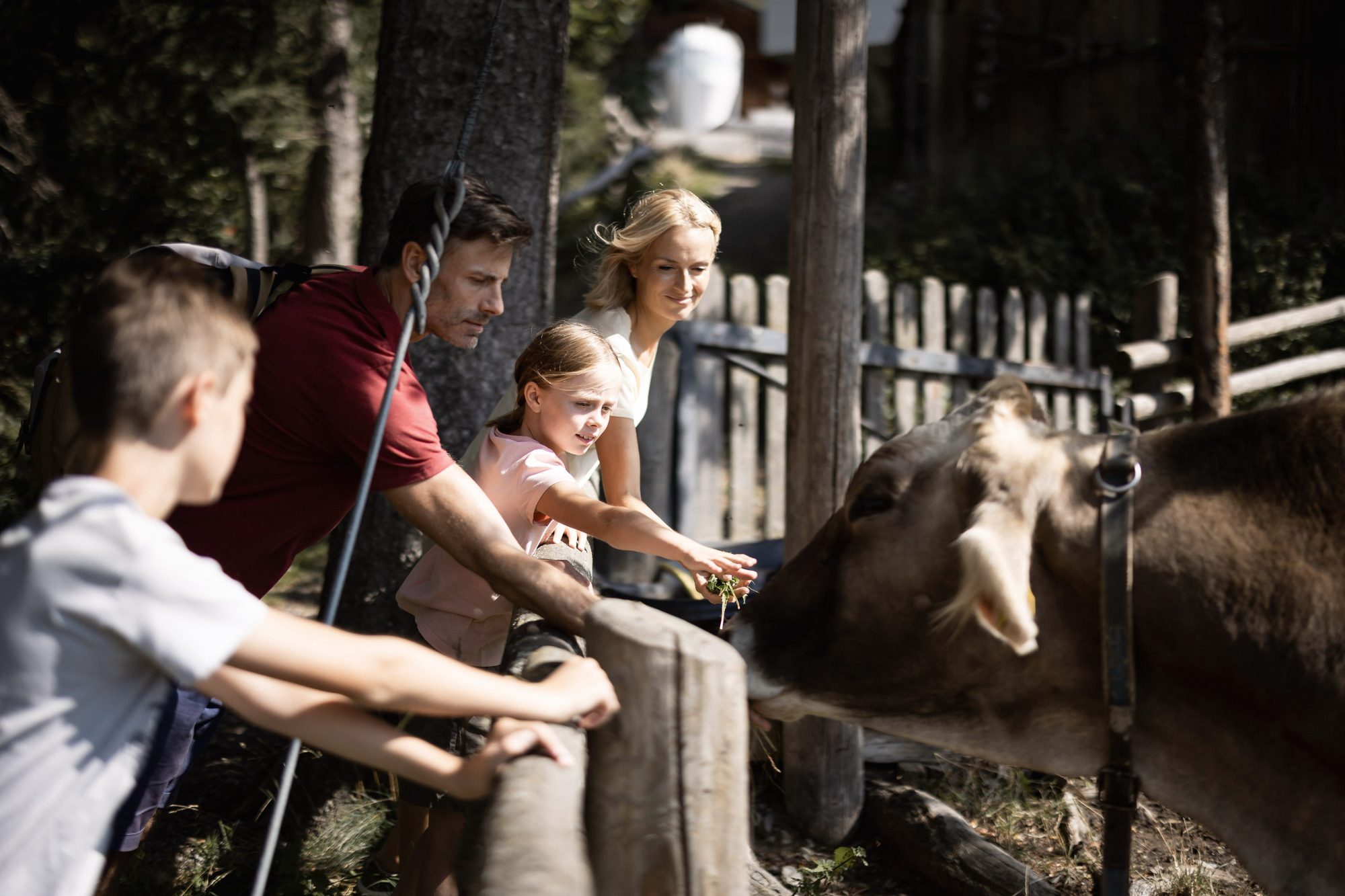 Bild zum Wellness-Angebot Farm Weeks