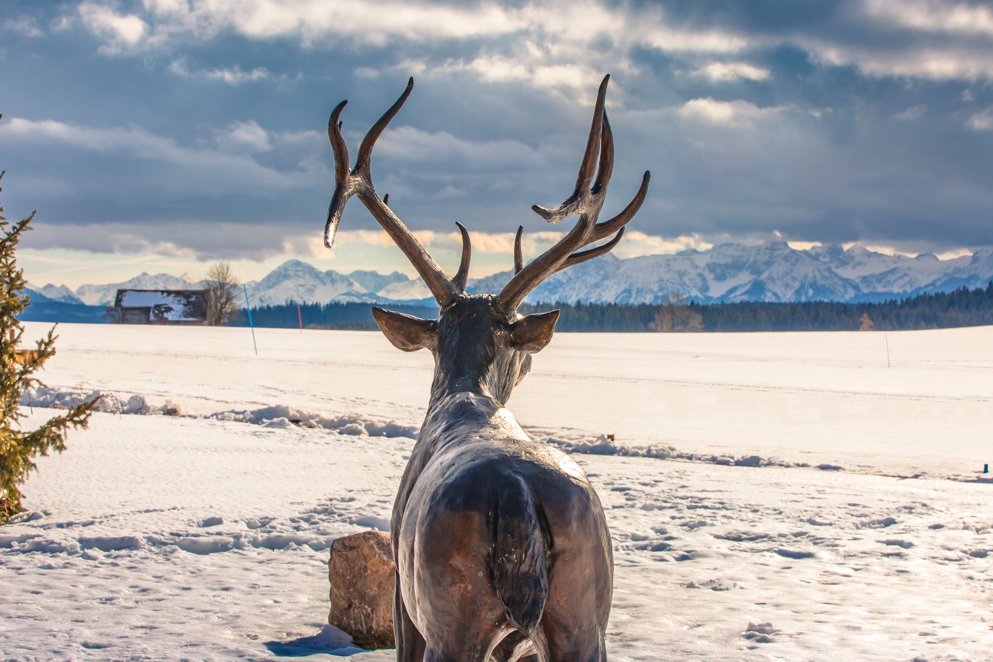 Foto vom Wellnesshotel Hotel Das Weitblick Allgäu | Wellness Bayern 