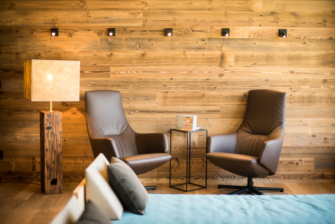 Der Löwe Lebe Frei Bilder | Bild 17