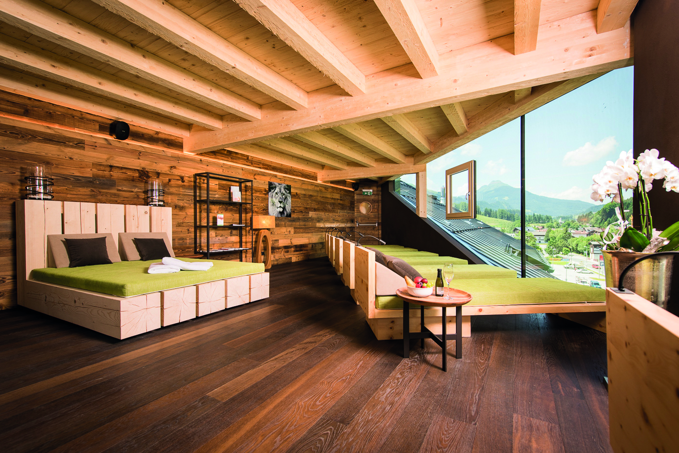 Der Löwe Lebe Frei Bilder | Bild 14