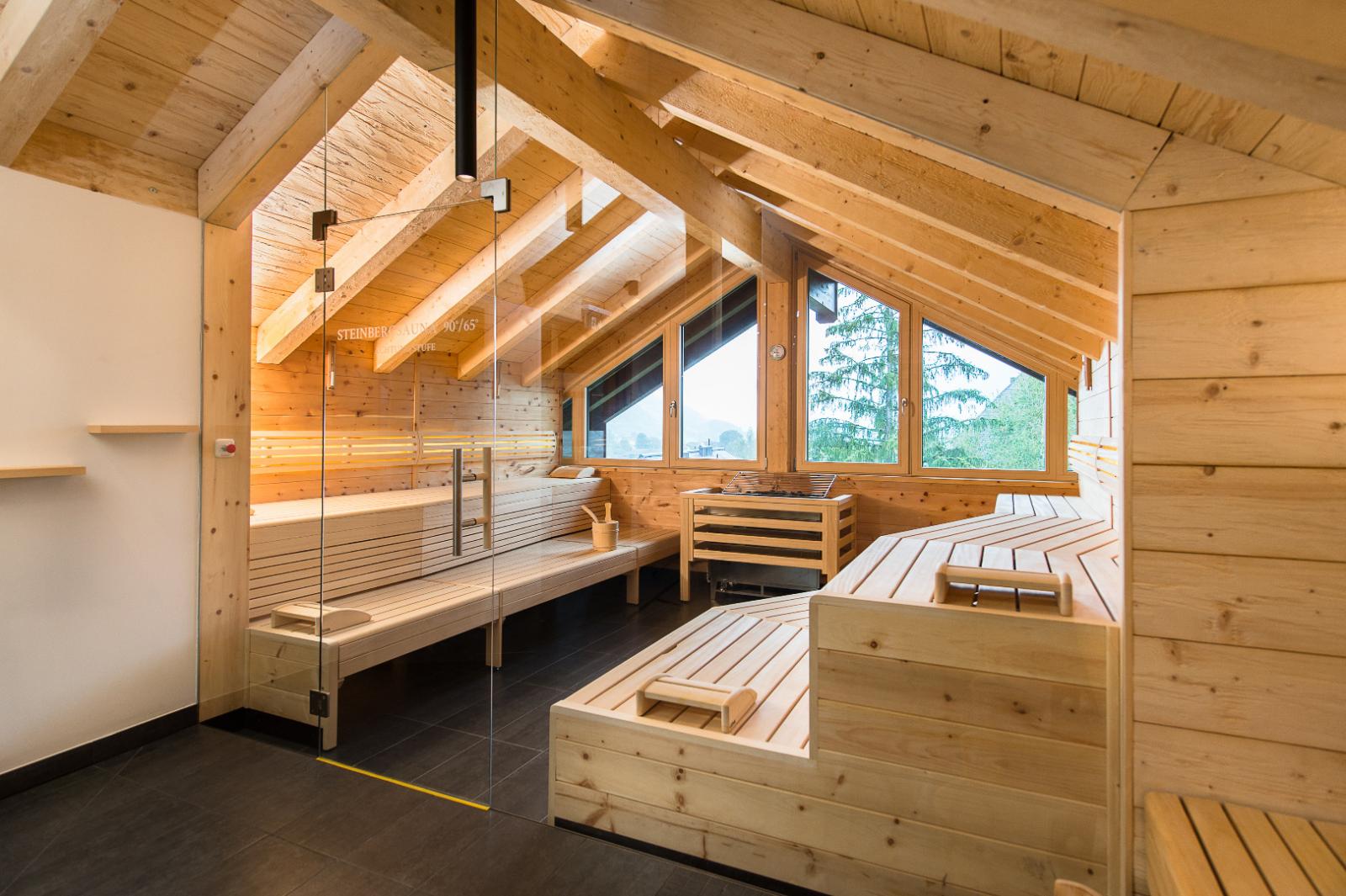 Der Löwe Lebe Frei Bilder | Bild 24