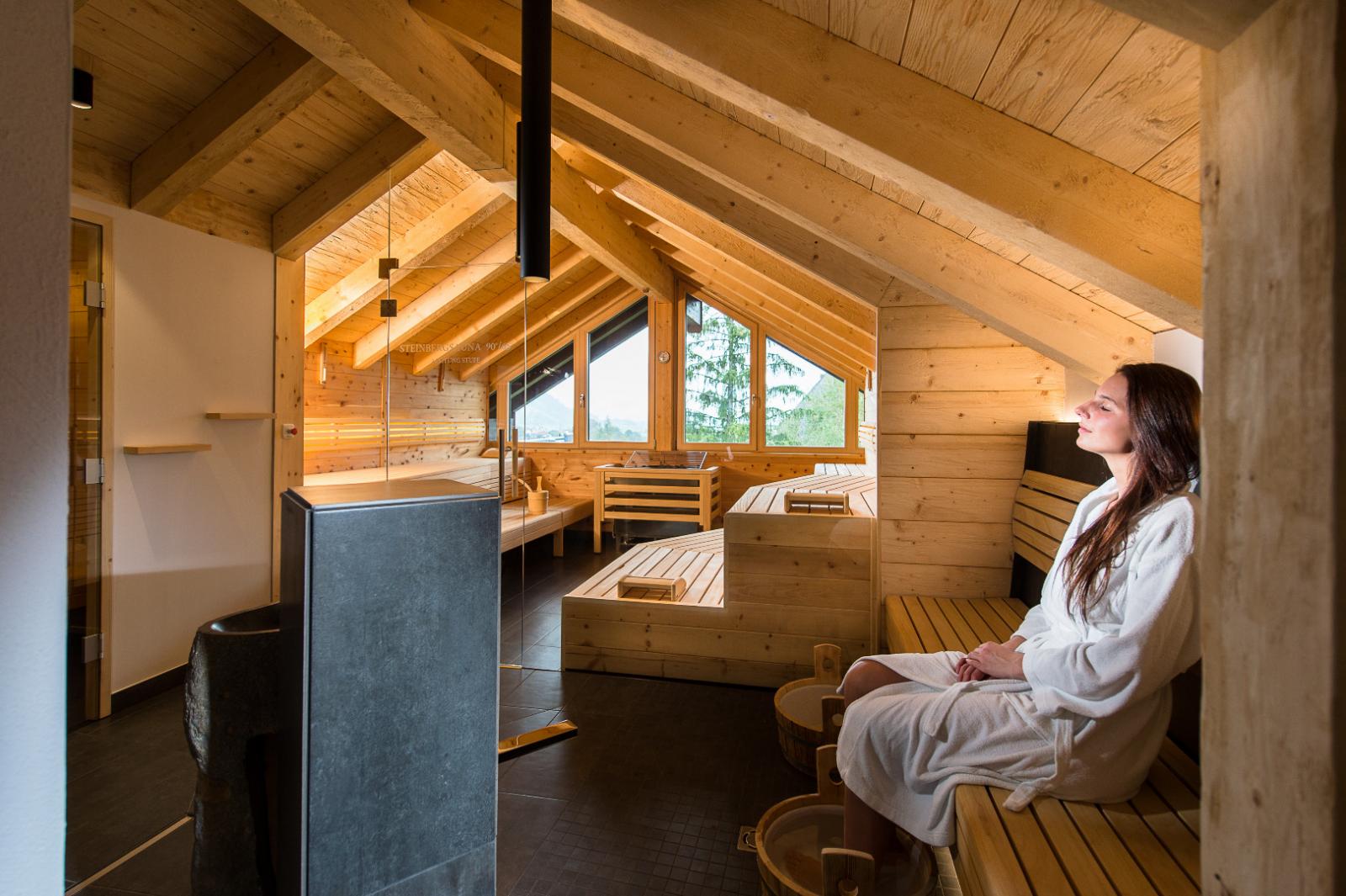 Der Löwe Lebe Frei Bilder | Bild 25