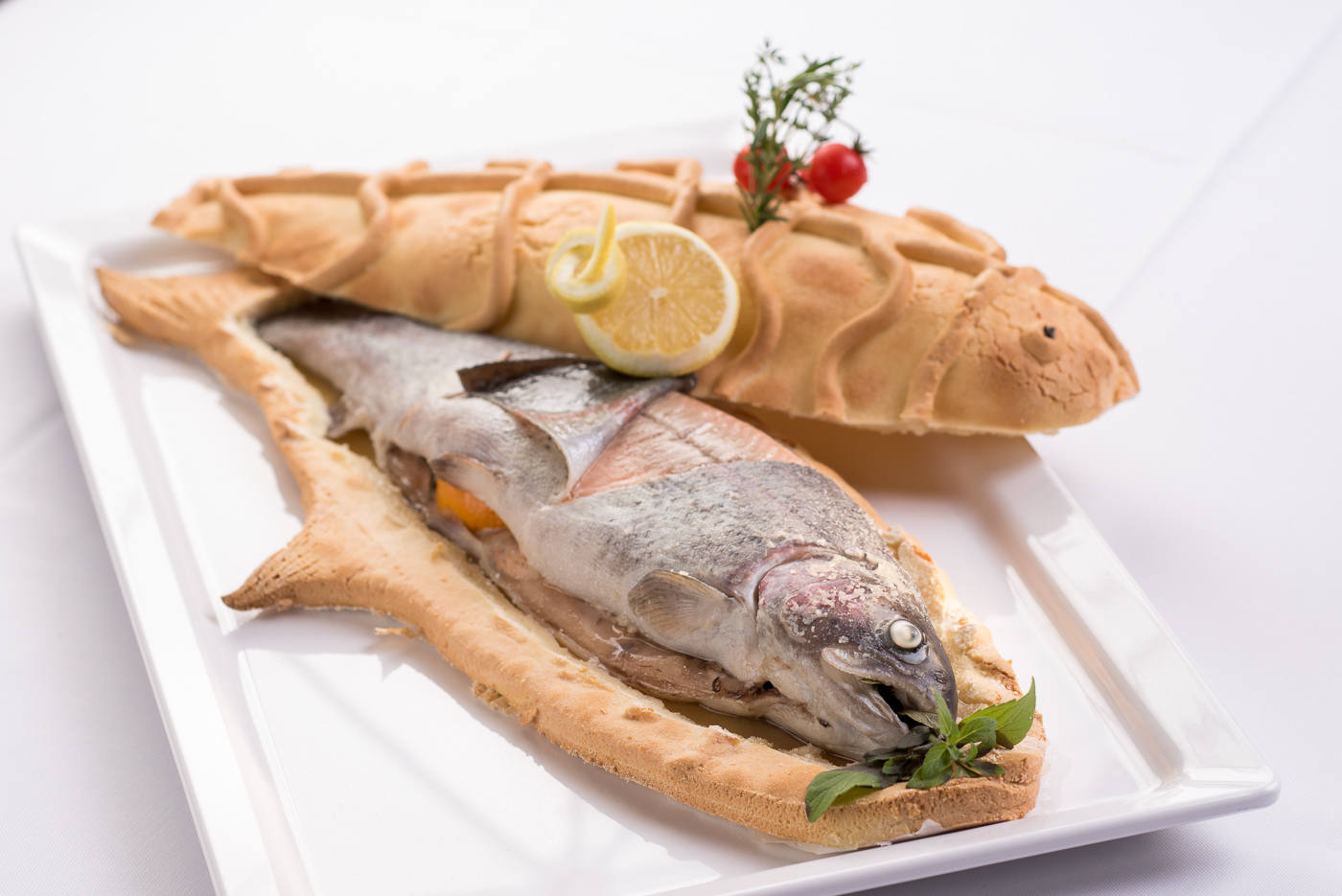 Der Löwe Lebe Frei Bilder | Bild 30