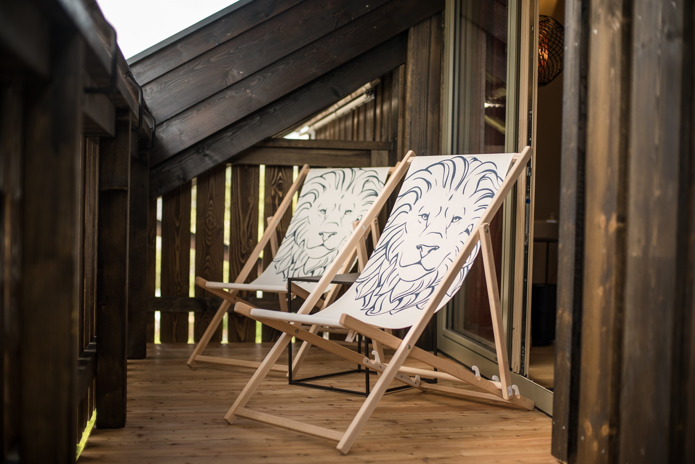 Der Löwe Lebe Frei Bilder | Bild 31