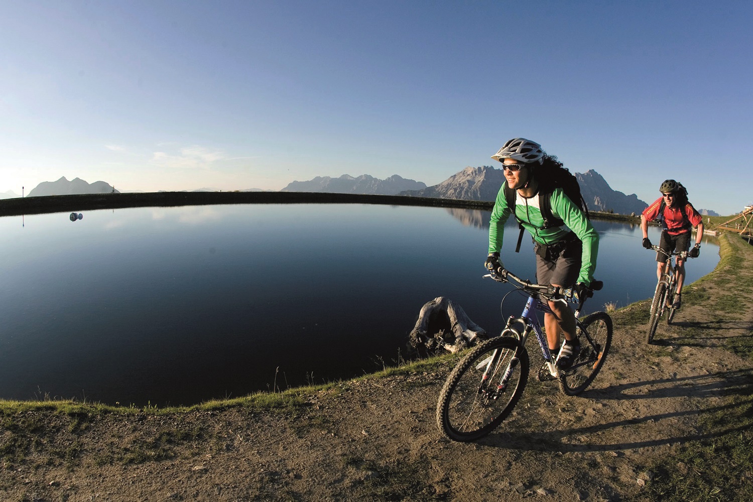 Der Löwe Lebe Frei Bilder | Bild 34