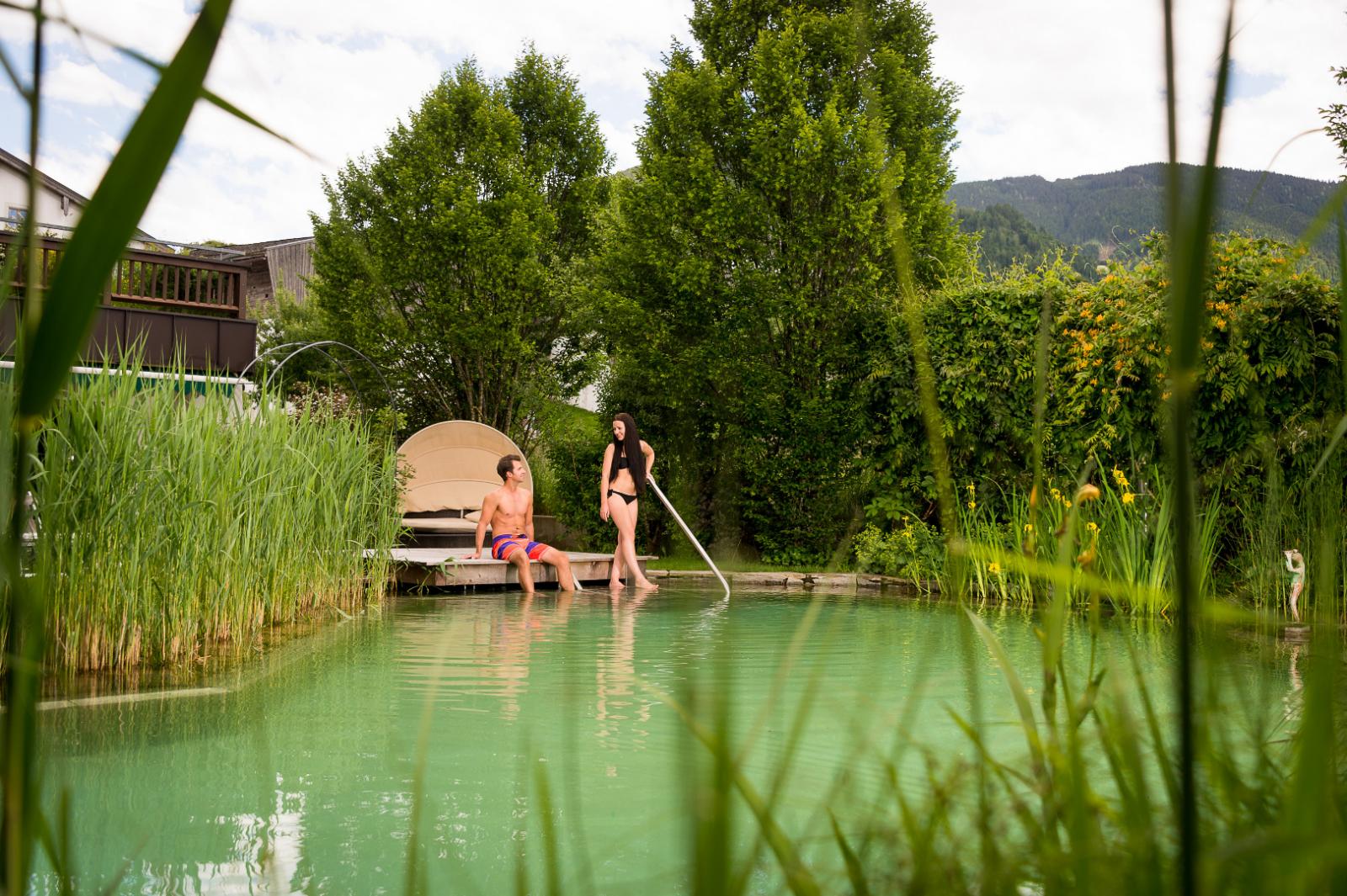 Der Löwe Lebe Frei Bilder | Bild 36