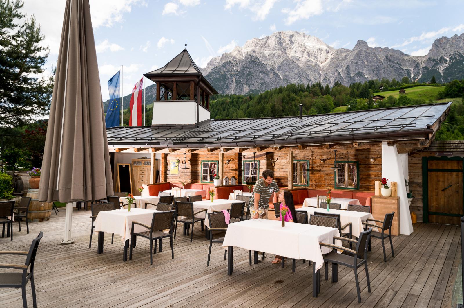 Der Löwe Lebe Frei Bilder | Bild 37