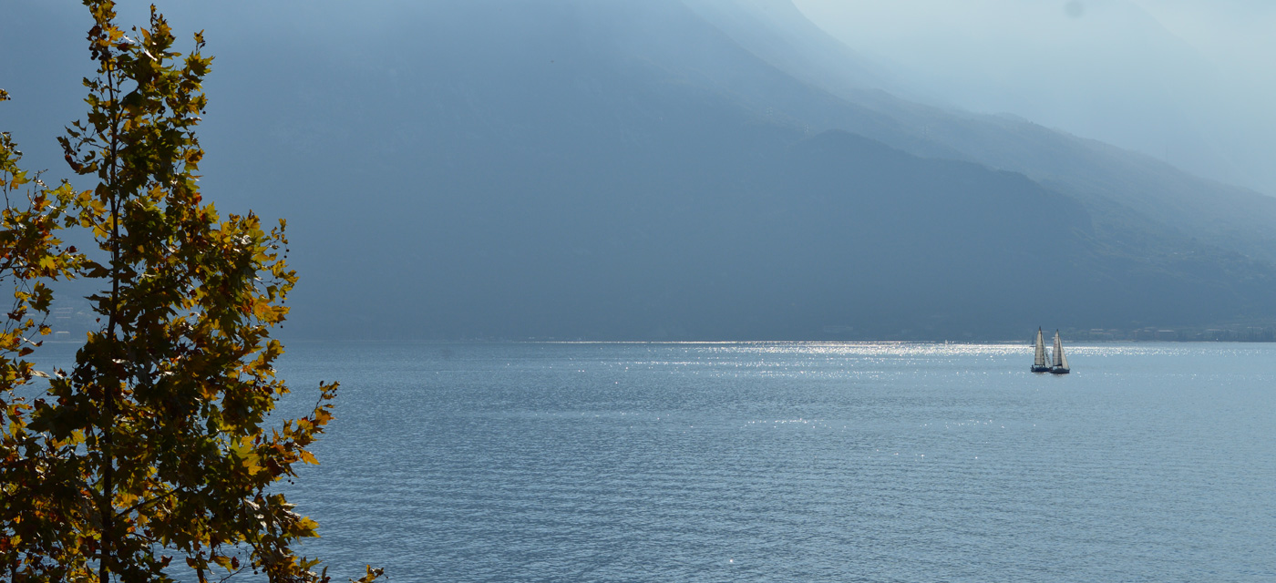 EALA My lakeside dream - Adults friendly Bilder | Bild 18