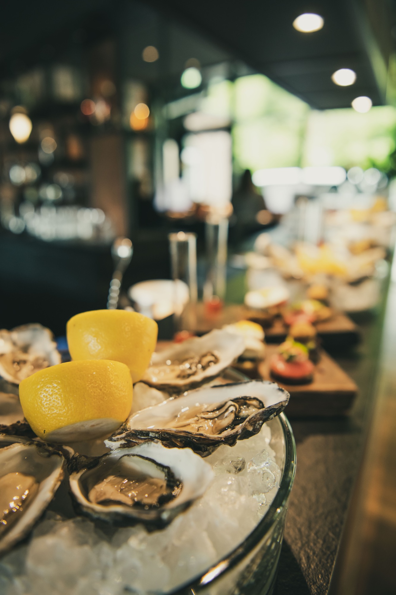 Fritz Lauterbad | Bild 37