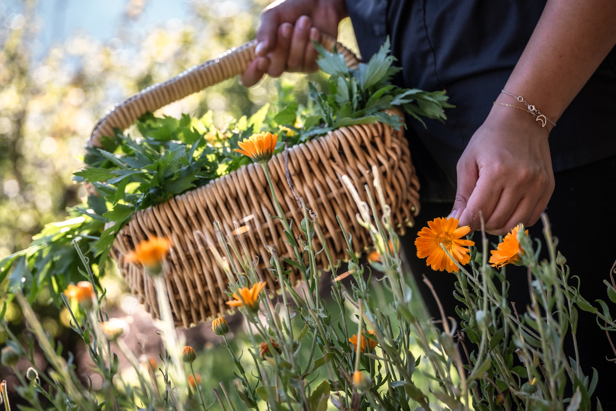 Gardenhotel Crystal | Bild 65