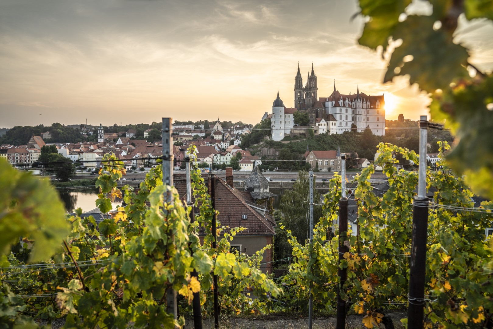 Hotel Goldenes Fass Meissen | Bild 1