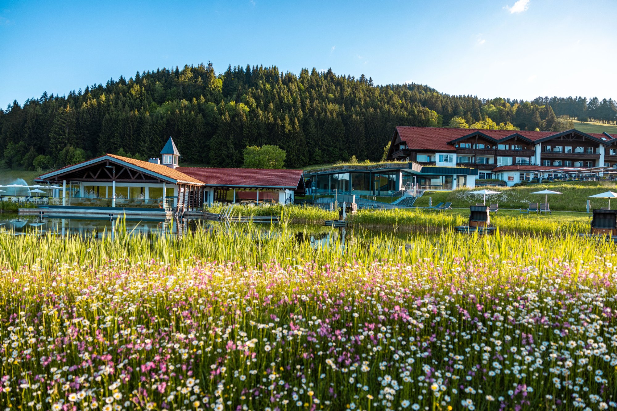 Haubers Naturresort Bilder | Bild 26