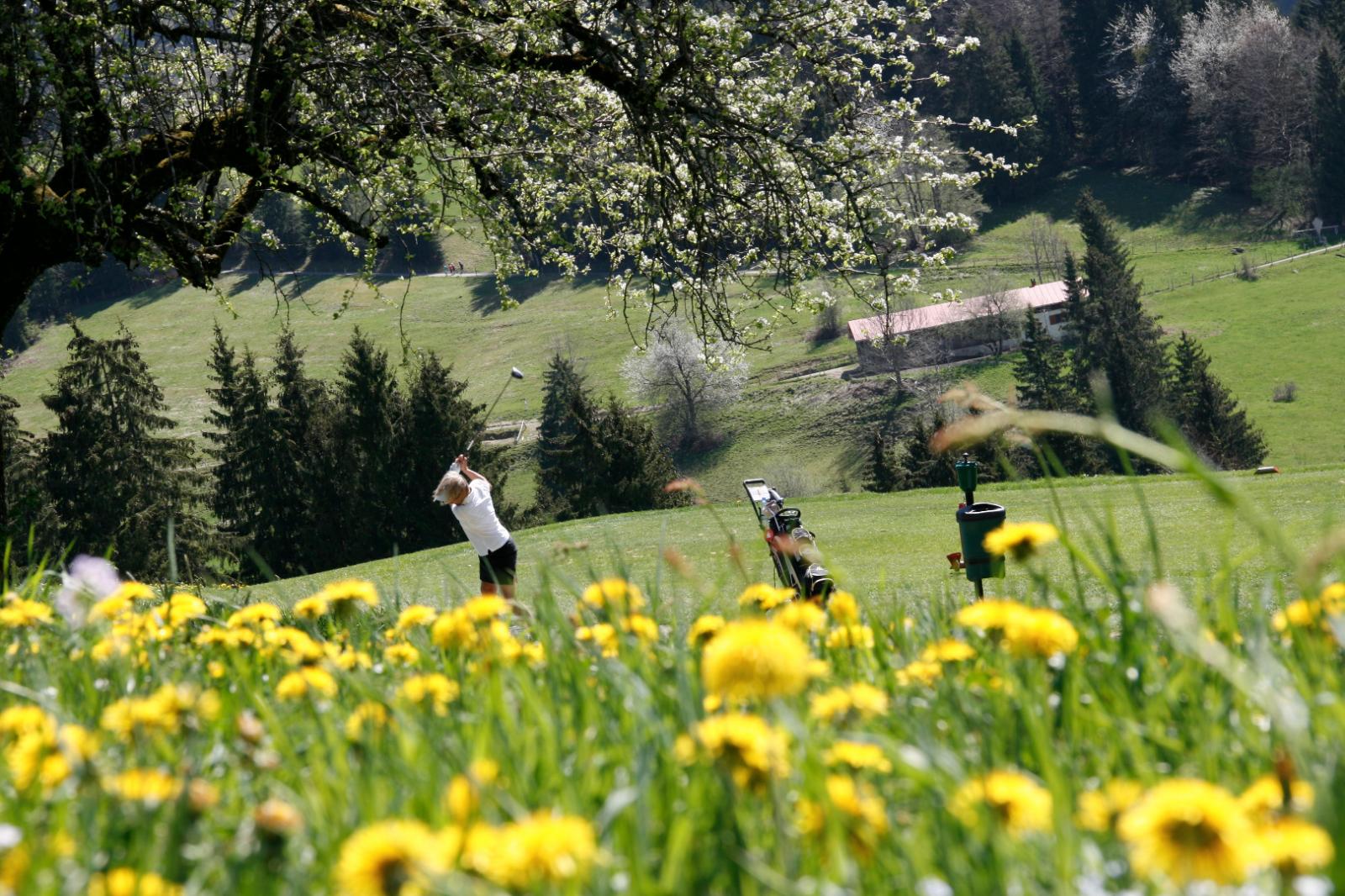 Haubers Naturresort Bilder | Bild 16