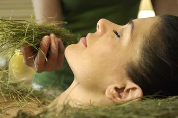 Natur Idyll Hochgall Bilder | Bild 5