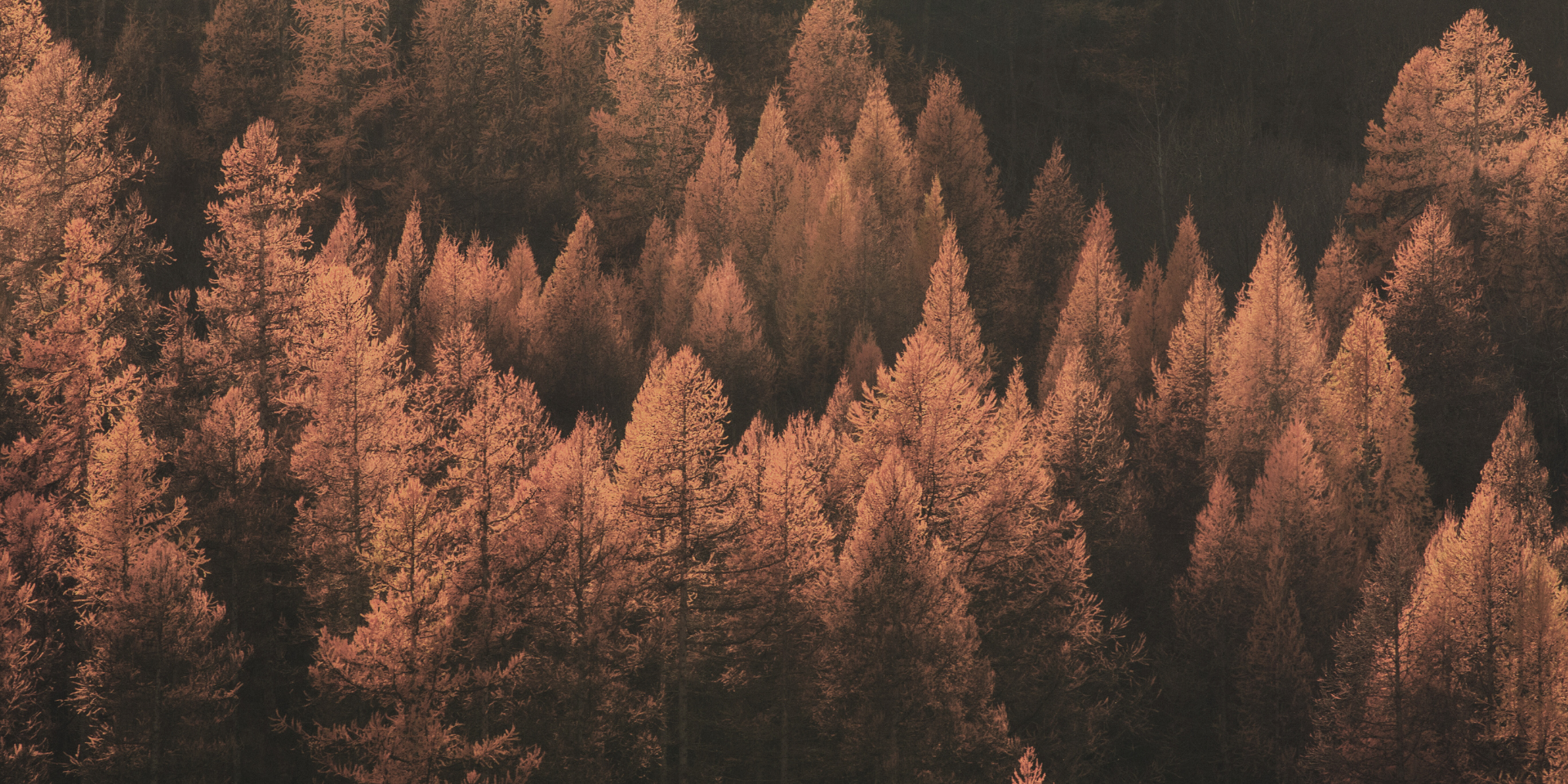Glaubersalz: Foto vom Wellnesshotel die HOCHKÖNIGIN ****S | Wellness Salzburger Land