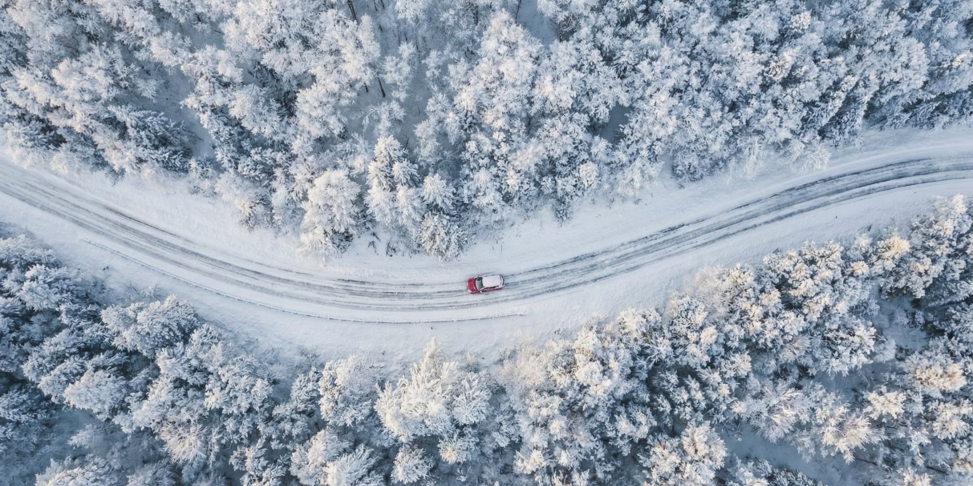 die HOCHKÖNIGIN ****S | Bild 6