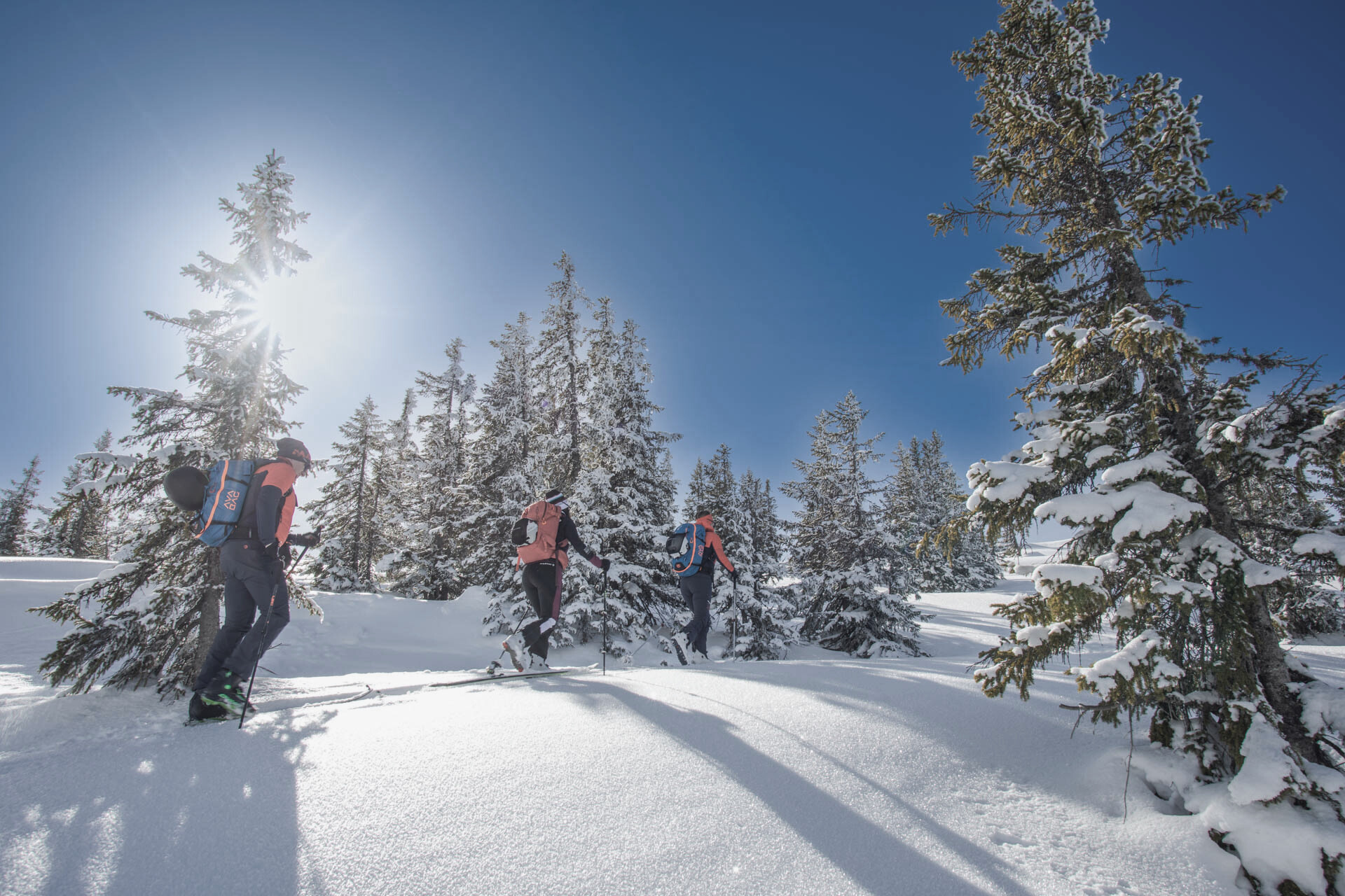 die HOCHKÖNIGIN ****S | Bild 8