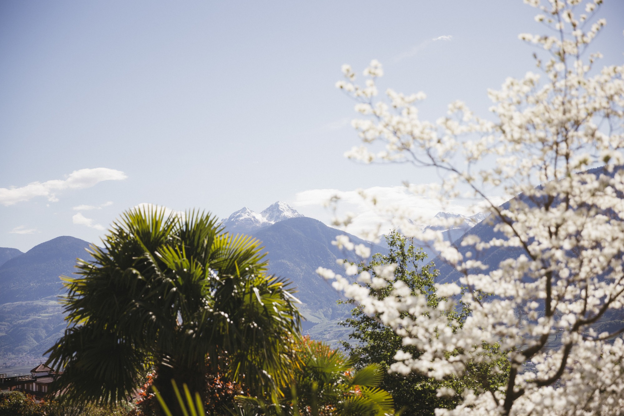 Hotel Hohenwart | Bild 27