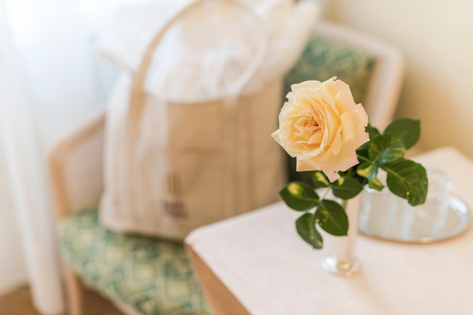 Hotel Adria & SPA Bilder | Bild 28