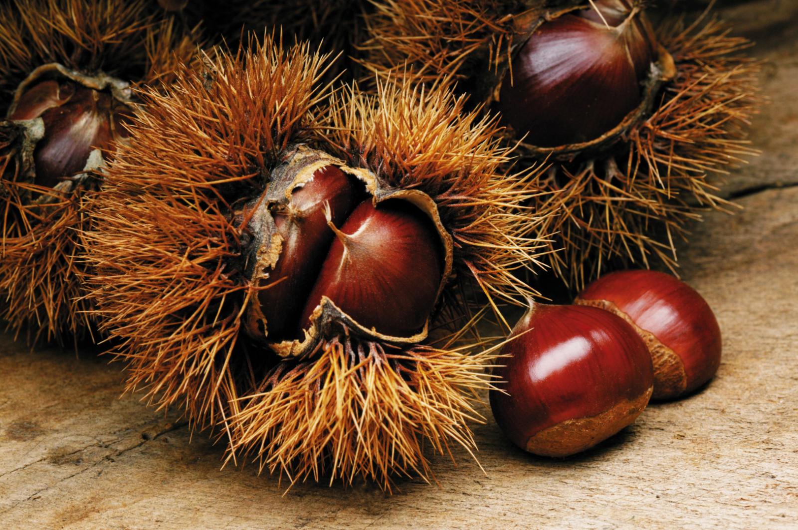 Hotel Burggräflerhof Bilder | Bild 6