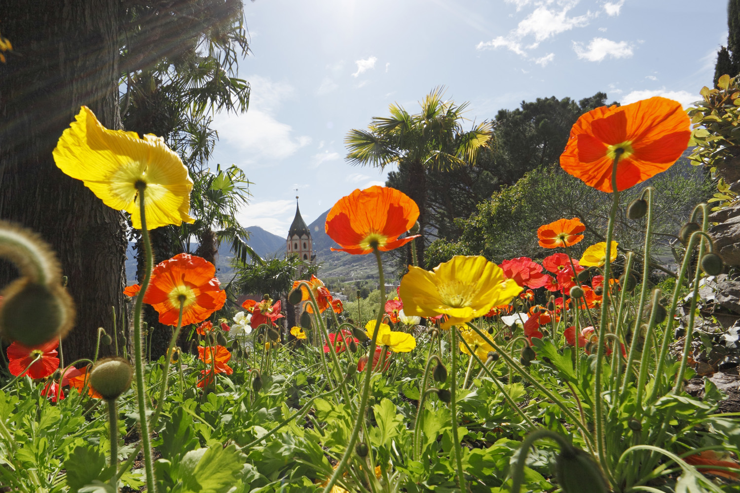 Hotel Burggräflerhof Bilder | Bild 28