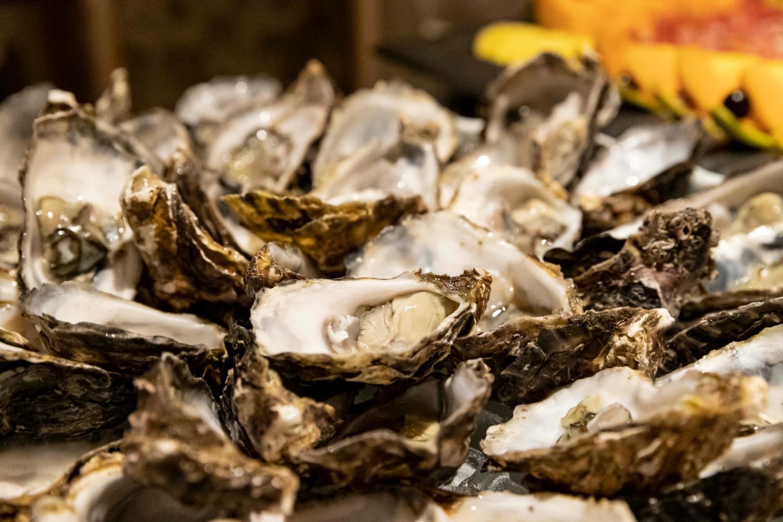 Hotel Burggräflerhof Bilder | Bild 39