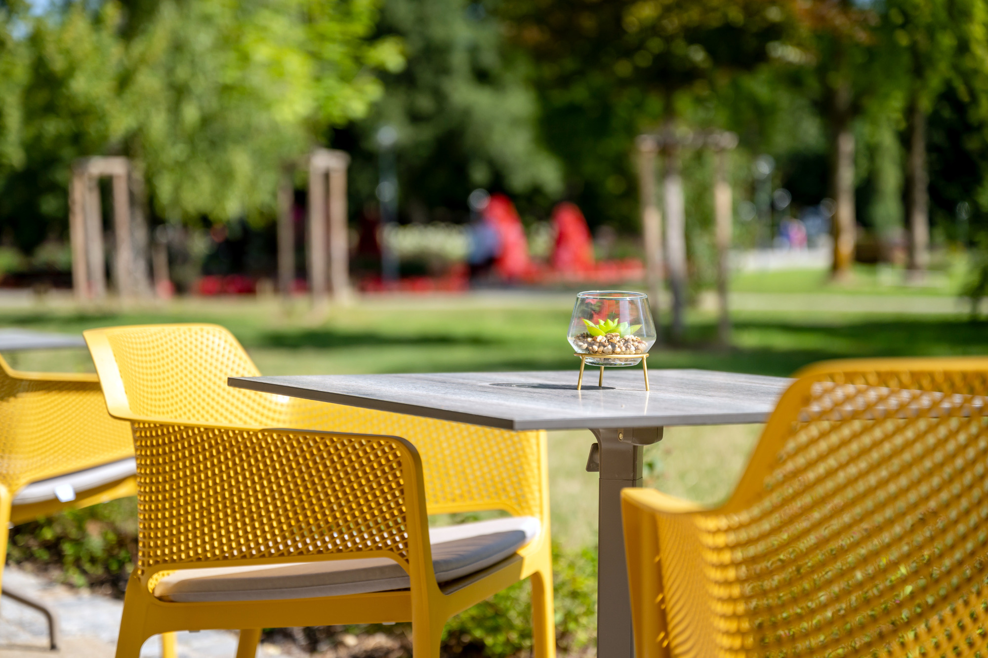 Hotel FrechDachs Bilder | Bild 5