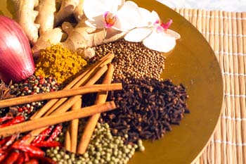 Hotel Gnaid Bilder | Bild 7