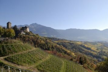 Hotel Gnaid Bilder | Bild 4