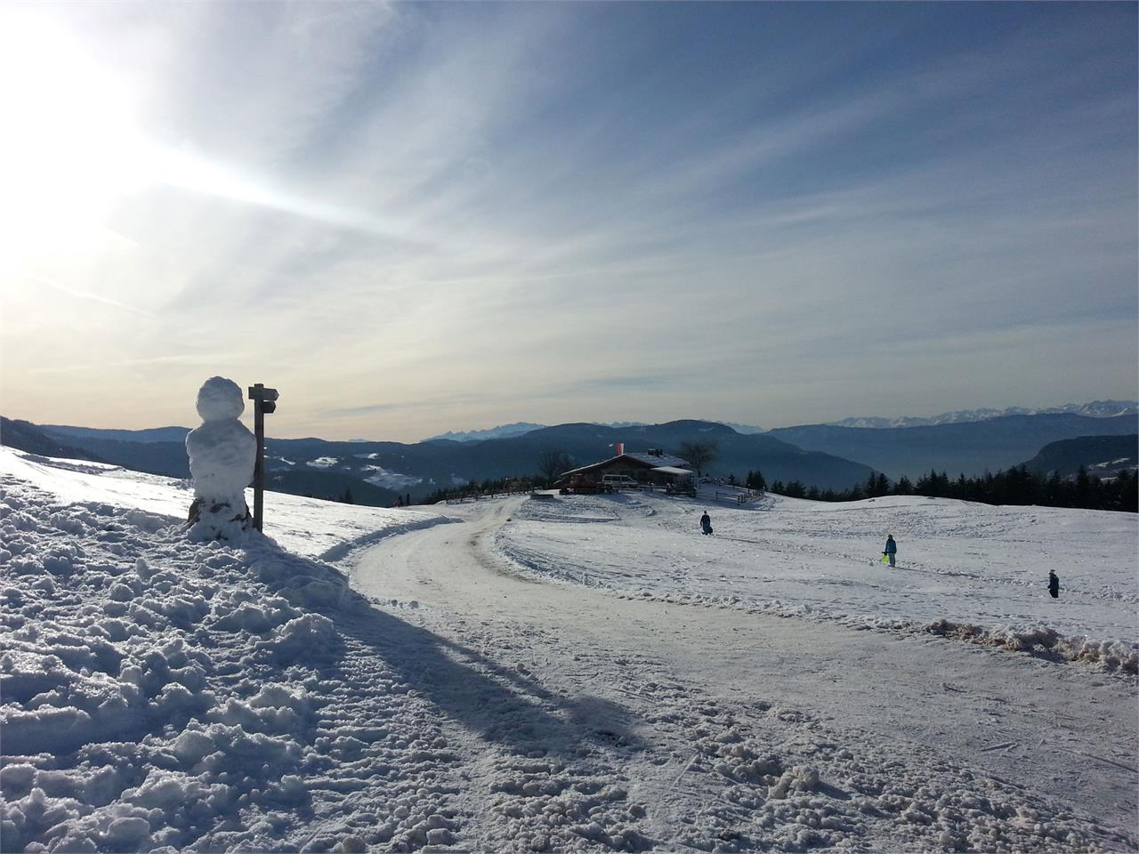 Hotel Lamm Bilder | Bild 32