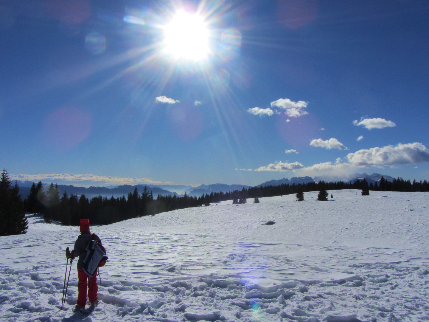 Alpen Garten Hotel Margherita Bilder | Bild 29
