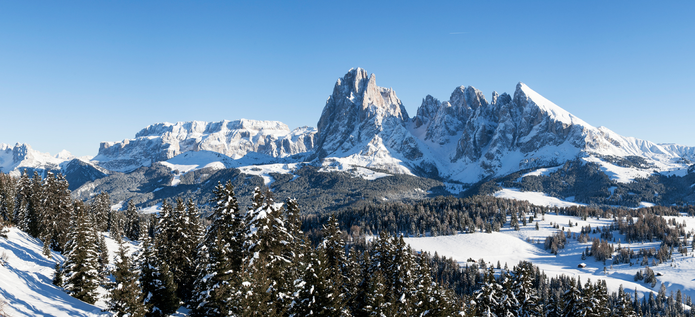 Hotel Pinei Nature & Spirit Bilder | Bild 37