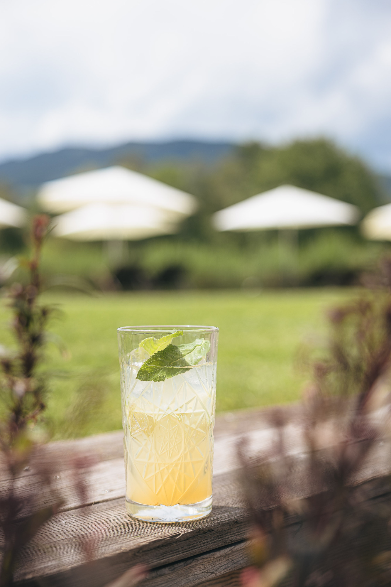 Ritzenhof – Hotel und Spa am See ****S Bilder | Bild 13