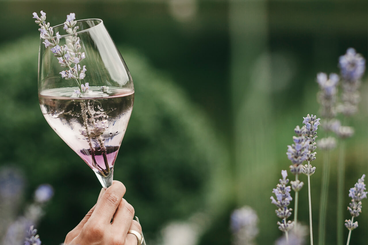 Seehof Nature Retreat  Bilder | Bild 14