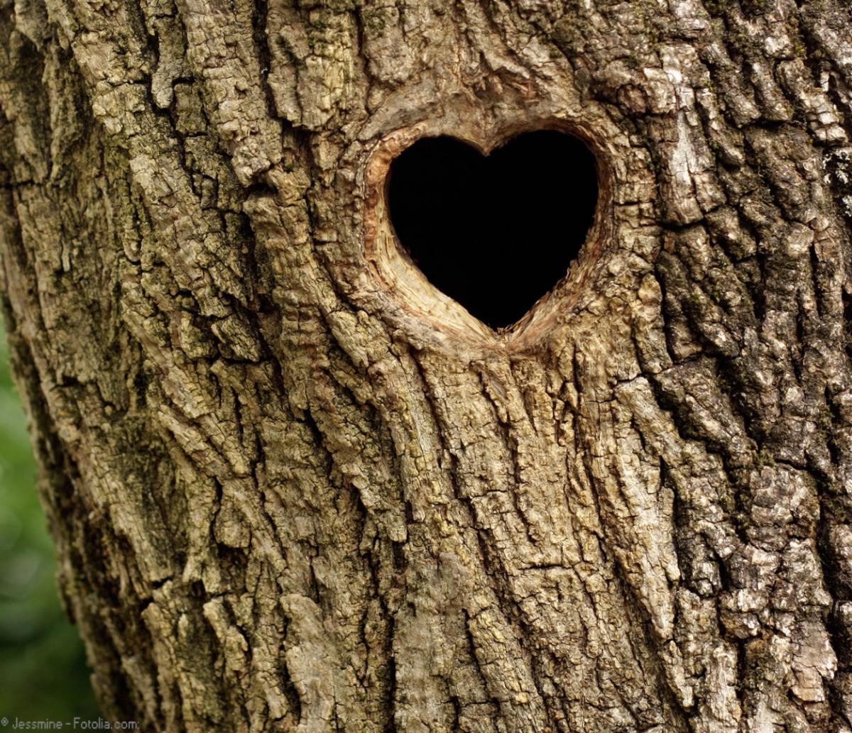 Hotel St. Veit Bilder | Bild 21