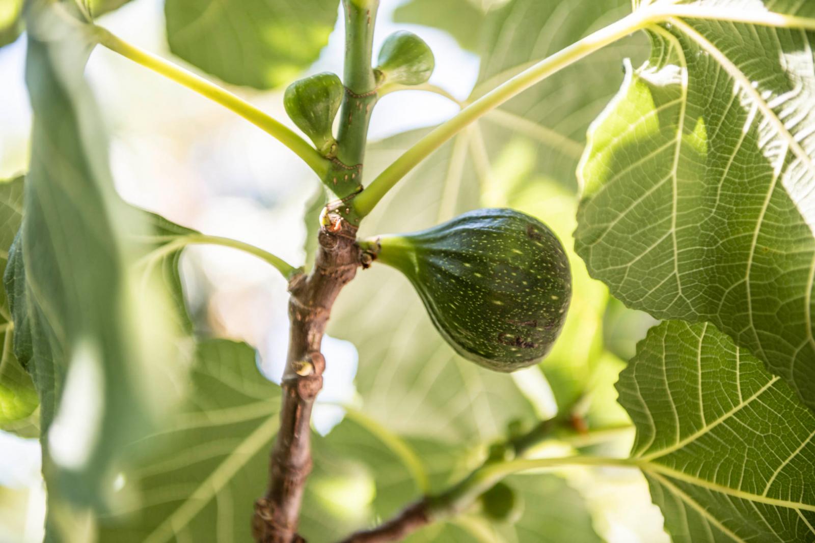 Hotel Zirmerhof Bilder | Bild 16