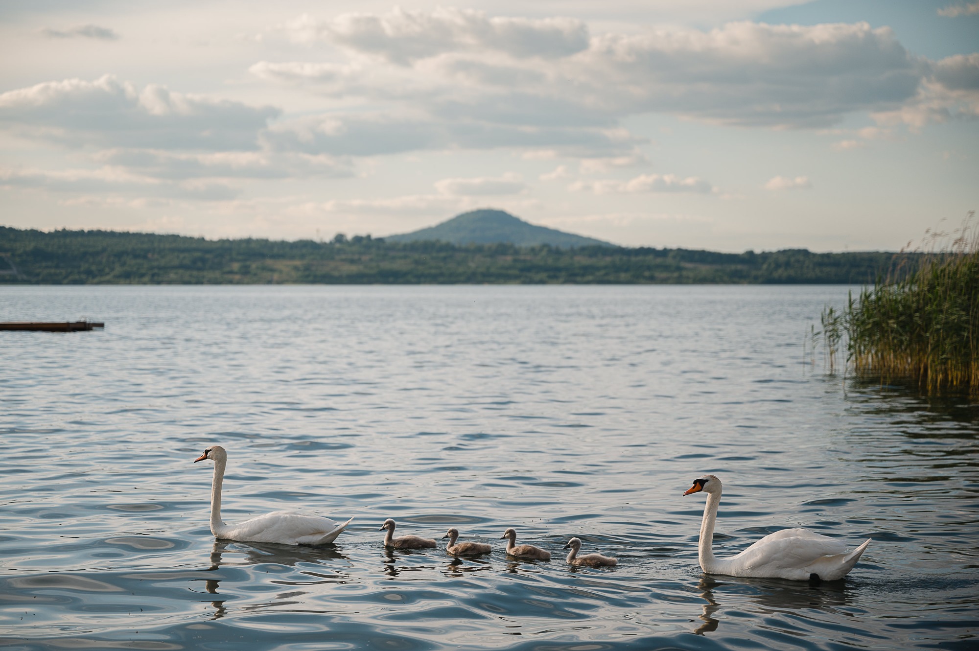 Insel der Sinne Naturhotel & See-Chalets | Bild 73