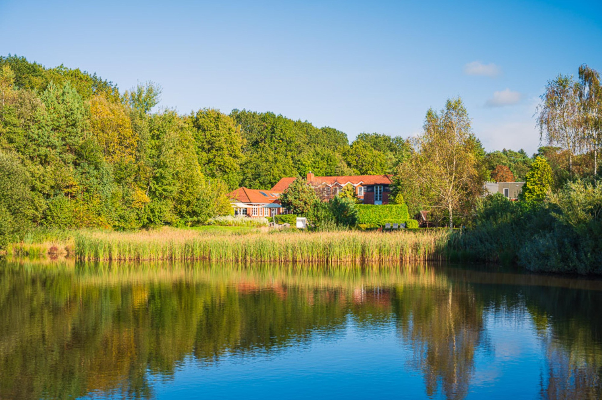 Köhlers Forsthaus Wellness & Genuss Hotel Bilder | Bild 12